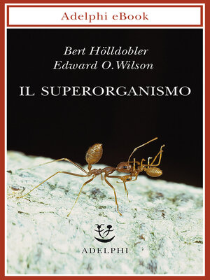cover image of Il superorganismo